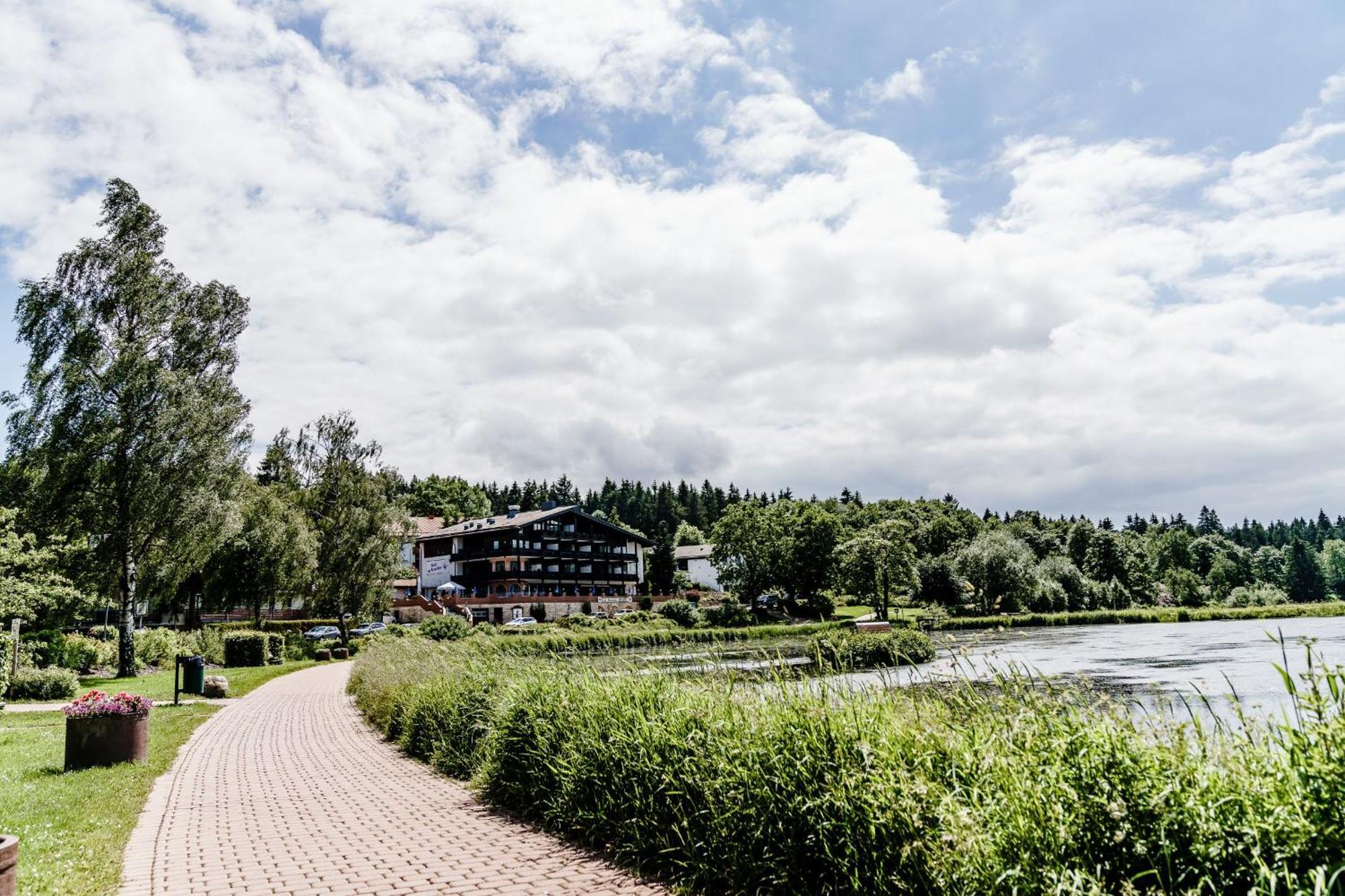 Haus Am See Luxury Hs 226 B Goslar Eksteriør billede
